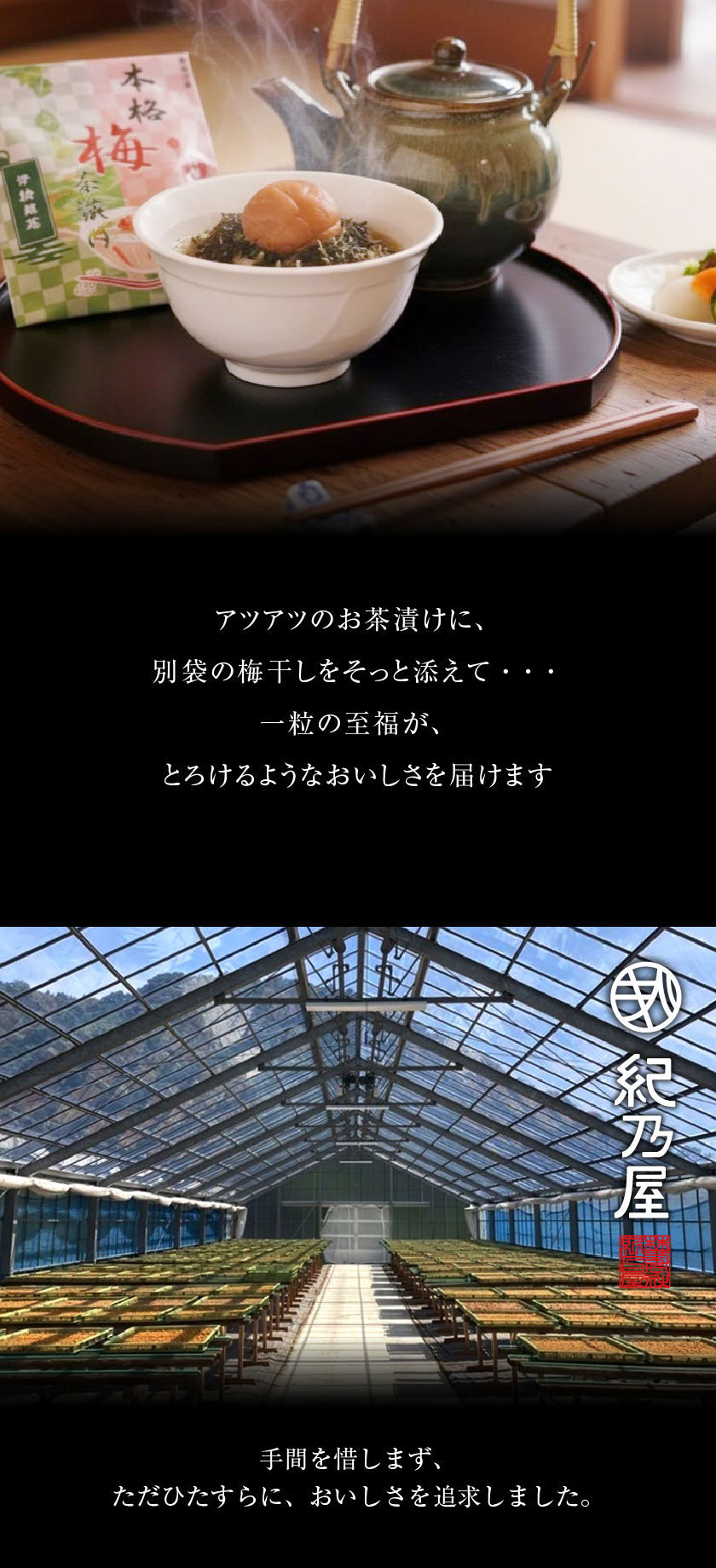 本格梅茶漬け