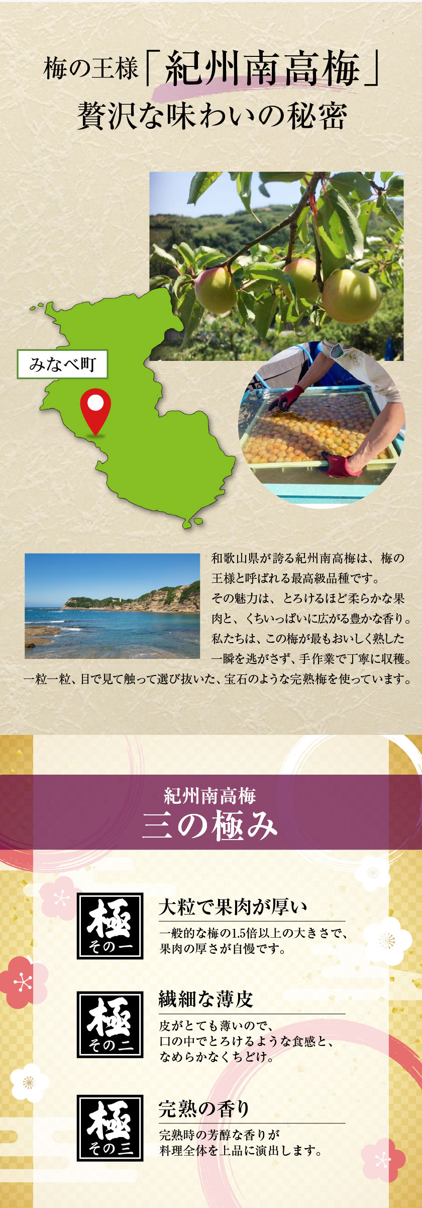 梅ぽん酢