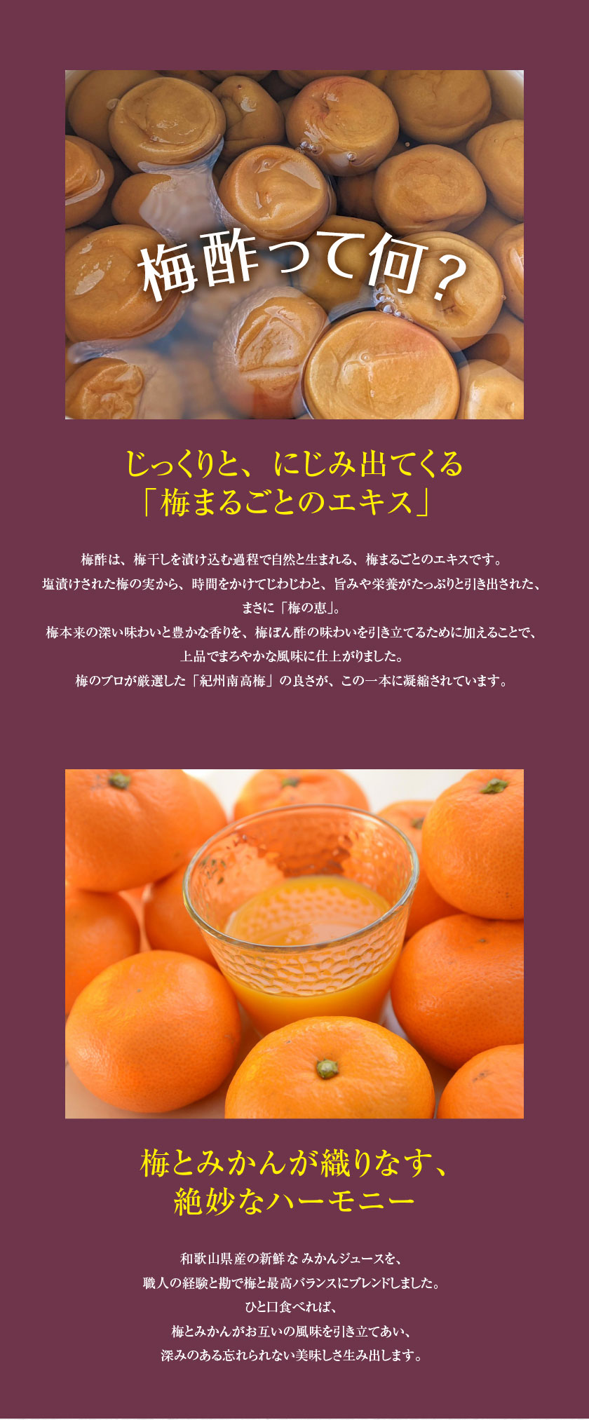 梅ぽん酢