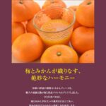 umepon